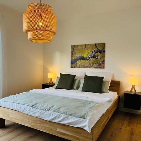 Moderne Ferienwohnung Mit Terrasse, Grill & Privatparkplatz Venningen Εξωτερικό φωτογραφία